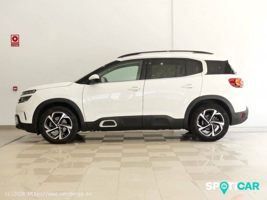 Citroën C5 Aircross  BlueHdi 96kW (130CV) S&S EAT8 Feel - Santander