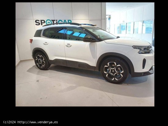 Citroën C5 Aircross  BlueHdi 96kW (130CV) S&S EAT8 Feel Pack - TRES CANTOS