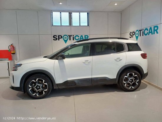 Citroën C5 Aircross  BlueHdi 96kW (130CV) S&S EAT8 Feel Pack - TRES CANTOS