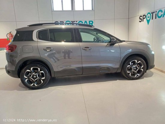 Citroën C5 Aircross  BlueHdi 96kW (130CV) S&S EAT8 Feel Pack - TRES CANTOS