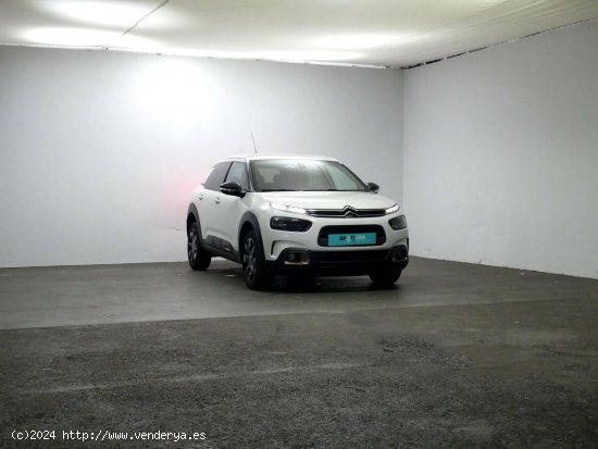 Citroën C4 Cactus  BlueHDi 74KW (100CV) S&S Shine - Granda (Siero)