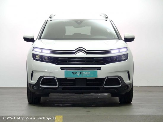 Citroën C5 Aircross  225 e-EAT8 Shine - Granda (Siero)