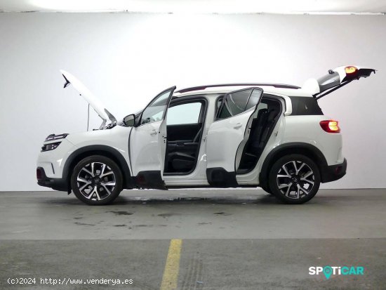 Citroën C5 Aircross  BlueHdi 96kW (130CV) S&S EAT8 Shine - Granda (Siero)