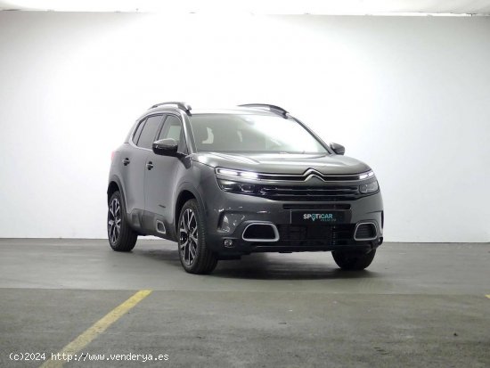 Citroën C5 Aircross  BlueHdi 96kW (130CV) S&S Shine Pack - Granda (Siero)