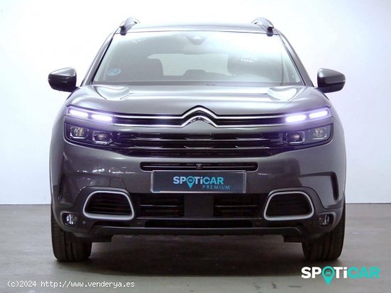 Citroën C5 Aircross  BlueHdi 96kW (130CV) S&S Shine Pack - Granda (Siero)