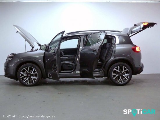 Citroën C5 Aircross  BlueHdi 96kW (130CV) S&S Shine Pack - Granda (Siero)