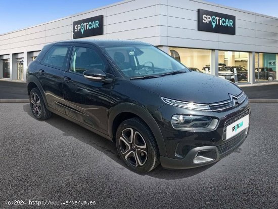 Citroën C4 Cactus  BlueHDi 100 S&S Feel - HUERCAL DE ALMERIA