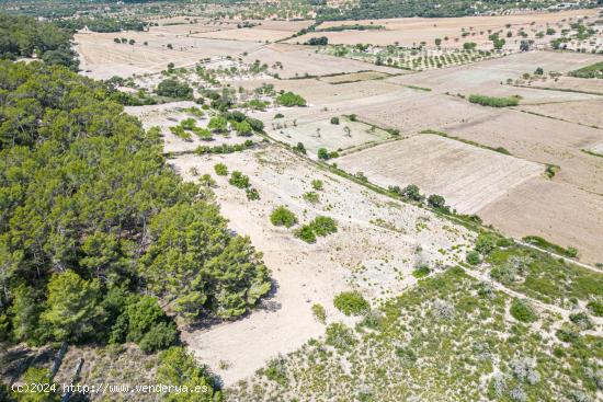 Terreno rústico en Porreres - BALEARES