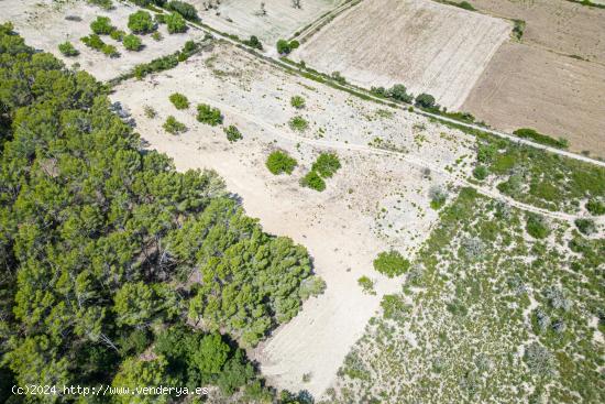 Terreno rústico en Porreres - BALEARES