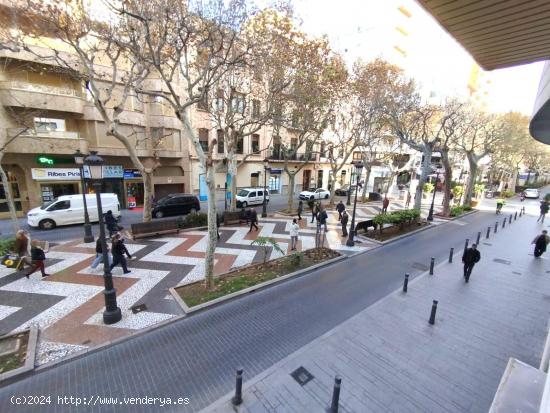  SE ALQUILA OFICINA EN EL CENTRO DE GANDÍA - VALENCIA 