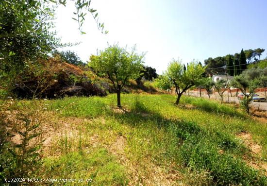  TERRENO URBANO EN CABRERA D'ANOIA - BARCELONA 