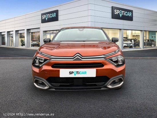 Citroën C4  PureTech 130 S&S EAT8 Shine - CUENCA