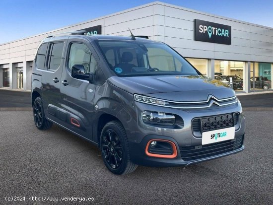 Citroën Berlingo  Talla M BlueHDi 130 S&S EAT8 Shine - MALLA