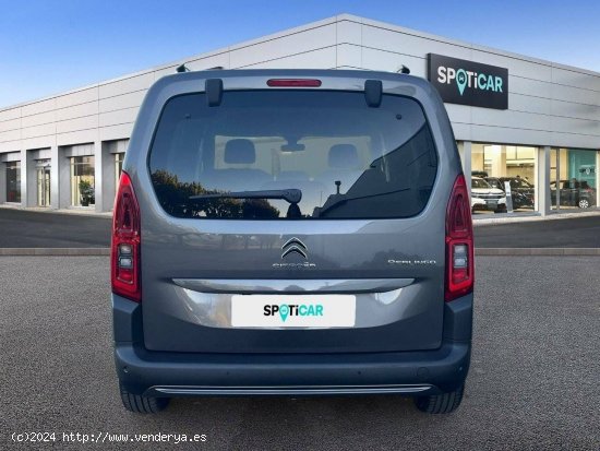 Citroën Berlingo  Talla M BlueHDi 130 S&S EAT8 Shine - MALLA