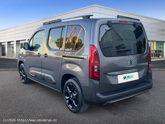 Citroën Berlingo  Talla M BlueHDi 130 S&S EAT8 Shine - MALLA