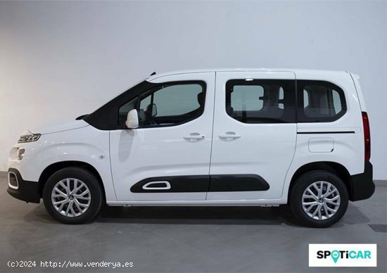 Citroën Berlingo  Talla M BlueHDi 100 Feel - JEREZ DE LA FRONTERA