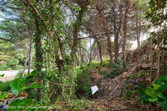 Venta de parcelas, Les Rotes, Denia - ALICANTE