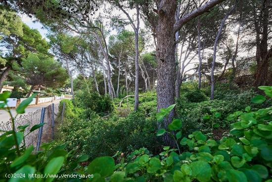 Venta de parcelas, Les Rotes, Denia - ALICANTE