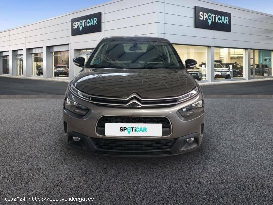 Citroën C4 Cactus  PureTech 110 S&S Feel - FINESTRAT