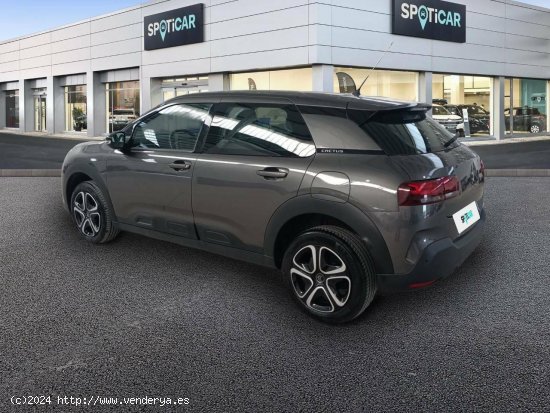 Citroën C4 Cactus  PureTech 110 S&S Feel - FINESTRAT