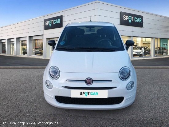 Fiat 500   1.0 Hybrid 51KW (70 CV) Cult - Cadiz