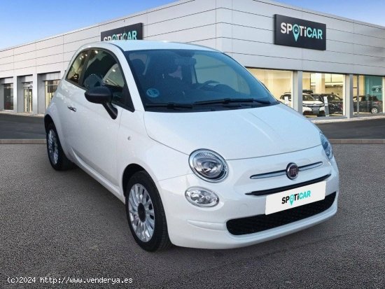 Fiat 500   1.0 Hybrid 51KW (70 CV) Cult - Cadiz