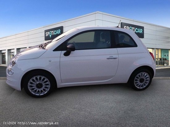 Fiat 500   1.0 Hybrid 51KW (70 CV) Cult - Cadiz