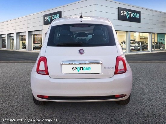 Fiat 500   1.0 Hybrid 51KW (70 CV) Cult - Cadiz