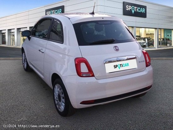 Fiat 500   1.0 Hybrid 51KW (70 CV) Cult - Cadiz