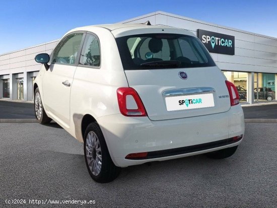 Fiat 500   1.0 Hybrid 51KW (70 CV) Dolcevita - Cadiz