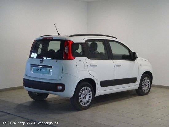 Fiat Panda  1.2  69cv Lounge - Cadiz