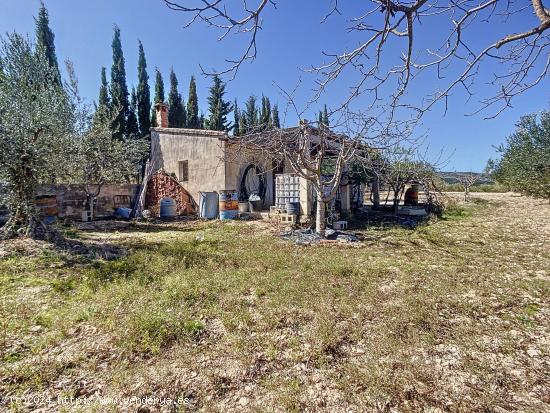 PARCELA DE TIERRA SECANA EN PARTIDA TURRIA EN CASTALLA - ALICANTE