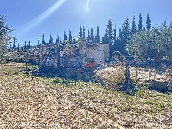 PARCELA DE TIERRA SECANA EN PARTIDA TURRIA EN CASTALLA - ALICANTE