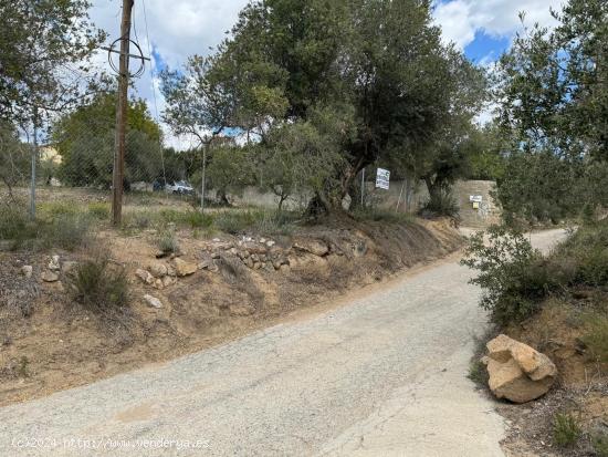 EXCELENTE OPORTUNIDAD DE TERRENO EN LES BORGES - TARRAGONA