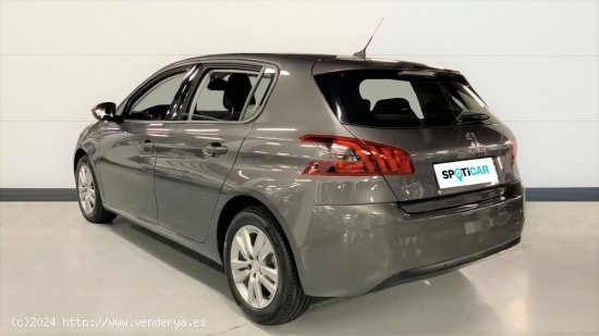 Peugeot 308  5P  BlueHDi 130 S&S MAN Active Pack - Madrid