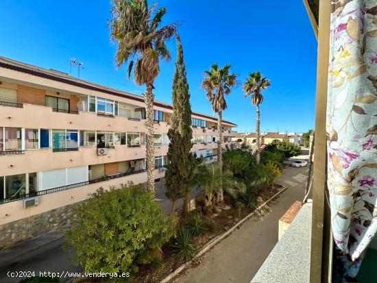  Apartamento en Mil Palmeras - ALICANTE 