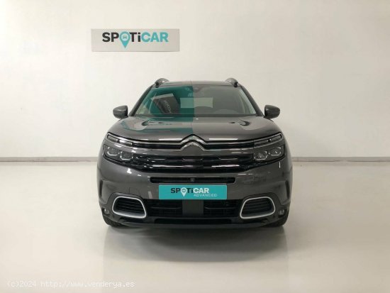 Citroën C5 Aircross  BlueHdi 96kW (130CV) S&S EAT8 Shine - Carbajosa de la Sagrada