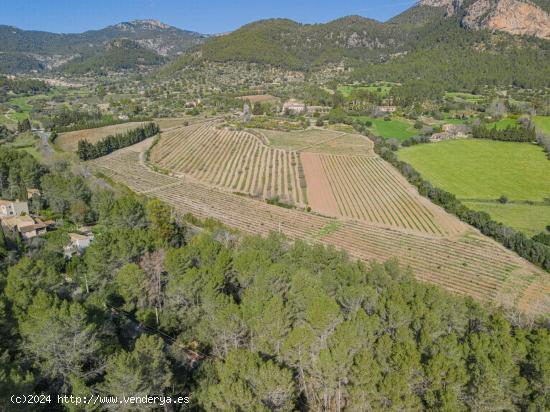 Terreno con proyecto en Son Serralta - BALEARES