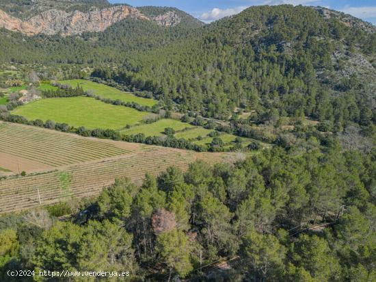 Terreno con proyecto en Son Serralta - BALEARES