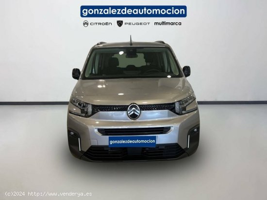 Citroën Berlingo  Talla M BlueHDi 100 S&S Plus - Úbeda