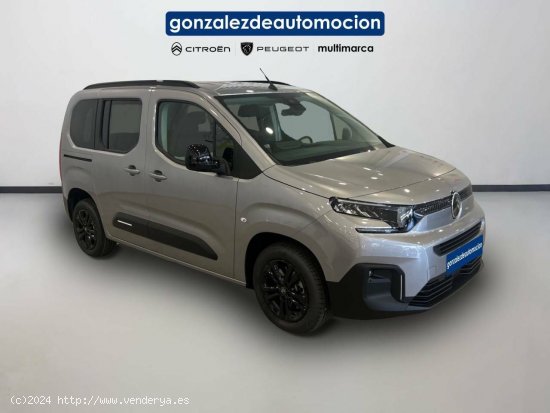 Citroën Berlingo  Talla M BlueHDi 100 S&S Plus - Úbeda