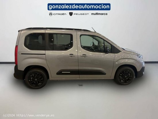 Citroën Berlingo  Talla M BlueHDi 100 S&S Plus - Úbeda