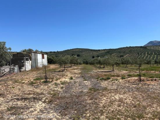 PARCELA RUSTICA CERCA DE ANTEQUERA SALE A LA VENTA¡¡¡¡ - MALAGA