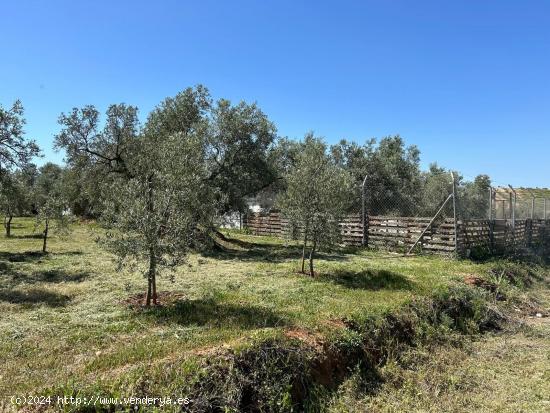 PARCELA RUSTICA CERCA DE ANTEQUERA SALE A LA VENTA¡¡¡¡ - MALAGA