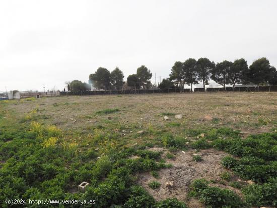 Se vende parcela de terreno rustico en la carretera de Argamasilla de Alba - CIUDAD REAL