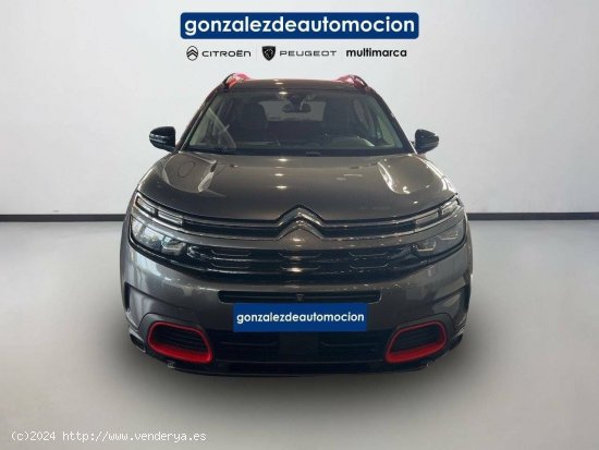 Citroën C5 Aircross  BlueHdi 132kW (180CV) S&S EAT8 Shine - Úbeda