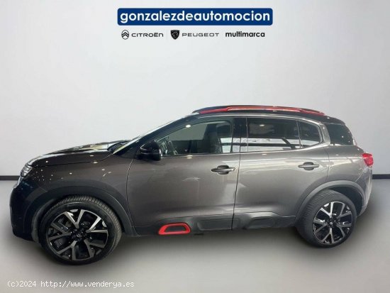 Citroën C5 Aircross  BlueHdi 132kW (180CV) S&S EAT8 Shine - Úbeda