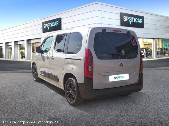 Citroën Berlingo  Talla M BlueHDi 100 S&S Shine - CANET D EN BERENGUER