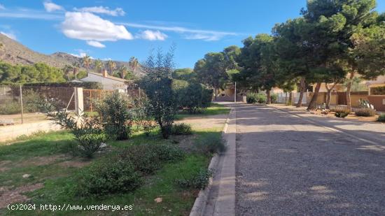 SOLAR EDIFICABLE EN LA AZOHÍA - MURCIA