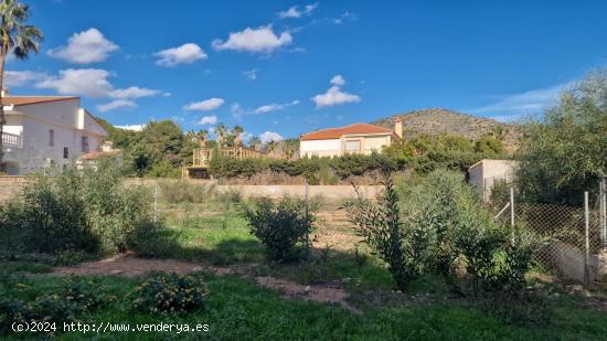 SOLAR EDIFICABLE EN LA AZOHÍA - MURCIA